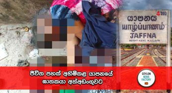ජීවිත පහක් අහිමිකළ යාපනයේ ඝාතකයා අත්අඩංගුවට (PHOTOS)