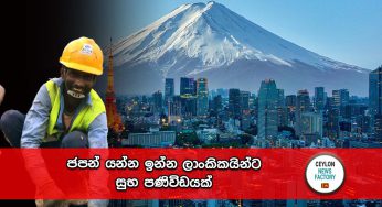 ජපන් යන්න ඉන්න ලාංකිකයින්ට සුභ පණිවිඩයක් !