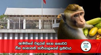 ඇමතිගේ වඳුරන් ගැන කතාවට චීන තානාපති කාර්යාලයෙන් ප්‍රතිචාර !