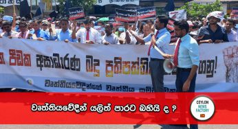 වෘත්තියවේදීන් ‍යලිත් පාරට බහියි ද ?