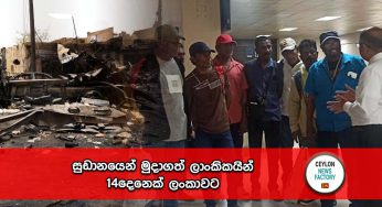 සුඩානයෙන් මුදාගත් ලාංකිකයින් 14දෙනෙක් ලංකාවට !