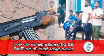 හරක් කටා සහ කුඩු සලිඳු ළග තිබූ නීති විරෝධී ගිනි අවි රැසක් පොලිස් භාරයට !