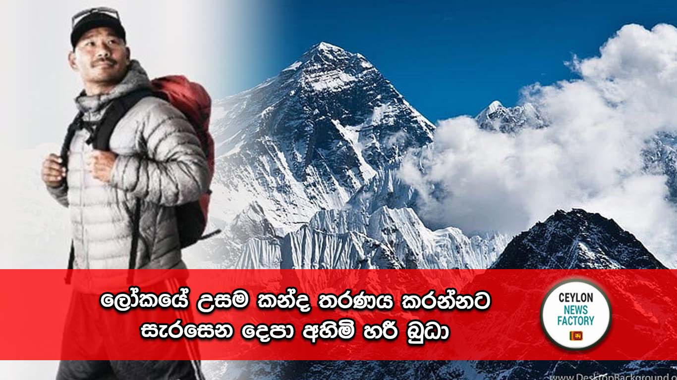 හරී බුධා