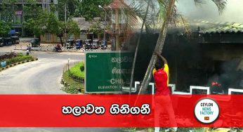 හලාවත ගිනිගනී !