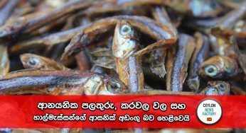 මේවා කන්නේ පරිස්සමෙන් – ආනයනික පලතුරු, කරවල වල සහ හාල්මැස්සන්ගේ ආසනික් අඩංගු බව හෙළිවෙයි !