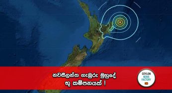 නවසීලන්ත ගැඹුරු මුහුදේ භූ කම්පනයක් !