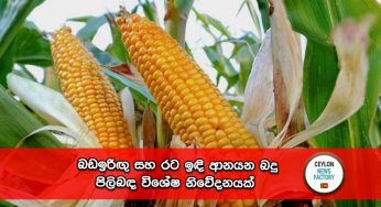 බඩඉරිඟු සහ රට ඉඳි ආනයන බදු පිලිබඳ විශේෂ නිවේදනයක් !