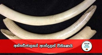 අන්තර්ජාලයේ ඇත්දලත් විකිණෙයි !