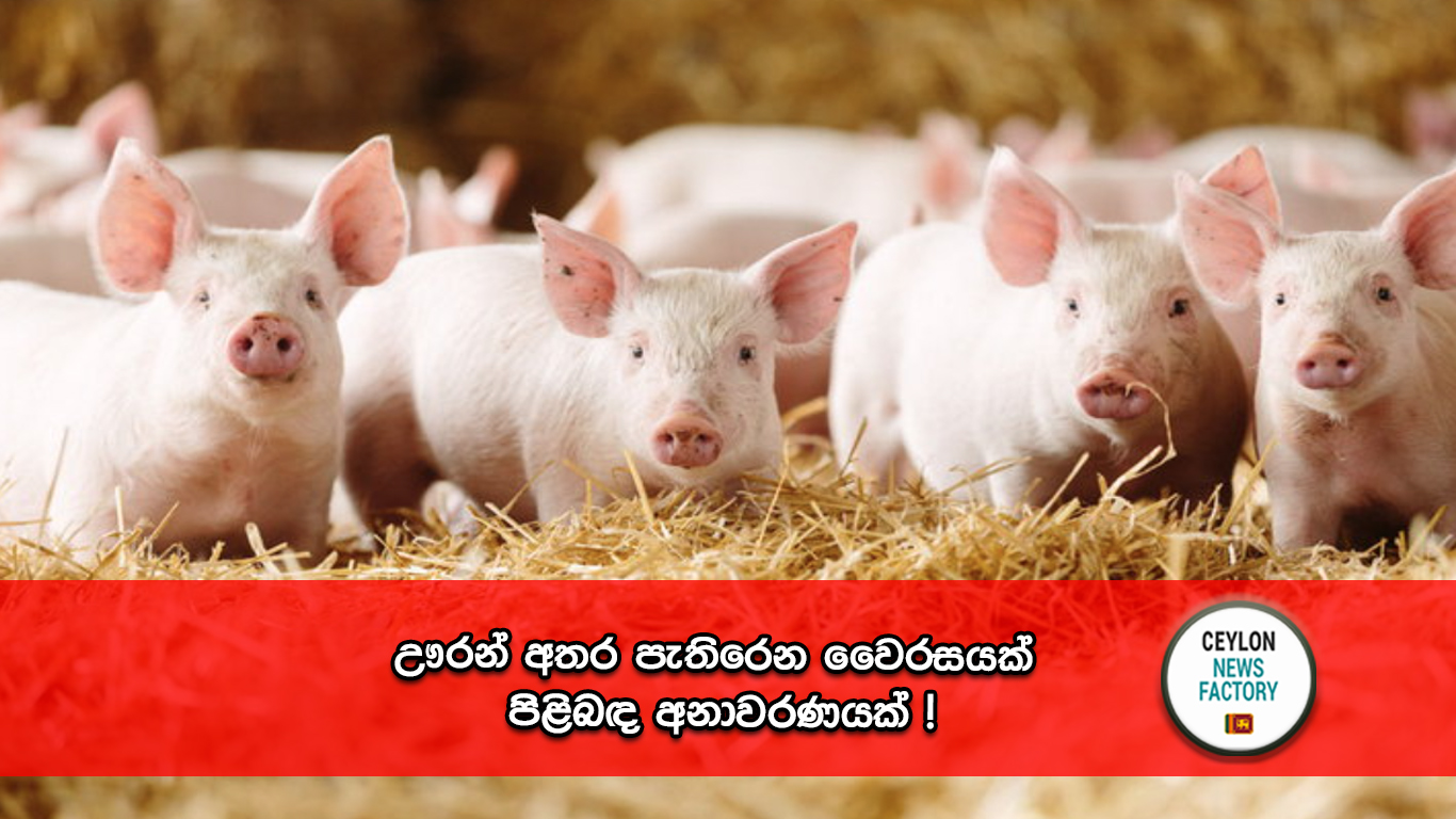 ඌරන්