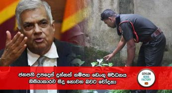 ජනපති උපදෙස් දුන්නත් ගම්පහ ඩෙංගු මර්ධනය නිසියාකාරව සිදු නොවන බවට චෝදනා !