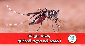 රට පුරා ඩෙංගු අවධානම් කලාප නම් කෙරේ !