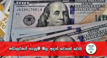 ඩොලරයේ ගැනුම් මිල අදත් වෙනස් වෙයි !