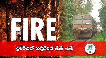 දුම්රියක් හදිසියේ ගිනි ගනී !