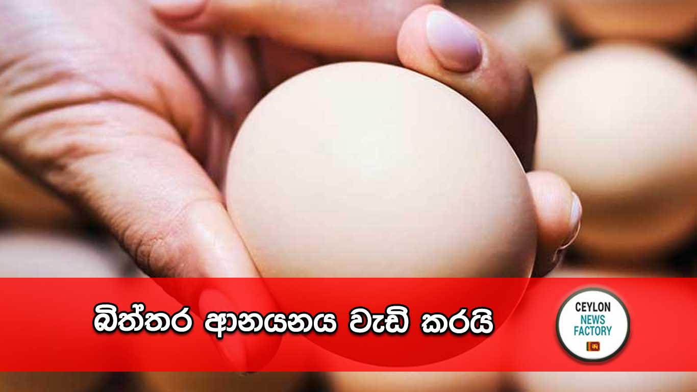 බිත්තර