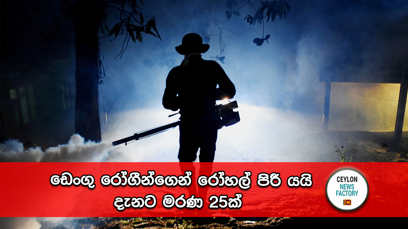 ඩෙංගු