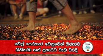 වේල් පෙරහැර වෙනුවෙන් සිරුරට ගිනිතබා ගත් පූසාරිට වැඩ වරදී !
