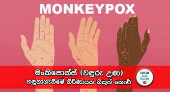 ‘මංකිපොක්ස් (වඳුරු උණ)’ හඳුනාගැනීමේ නිර්ණායක නිකුත් කෙරේ !