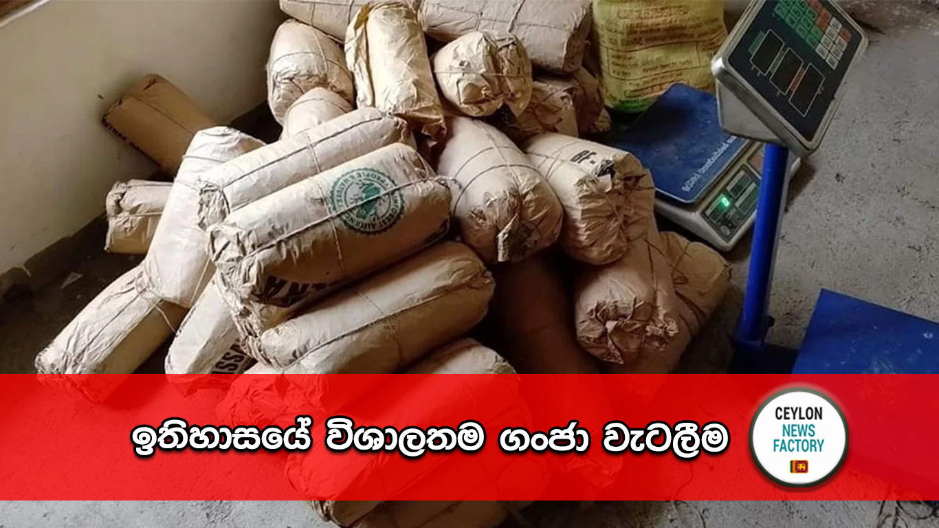 ගංජා