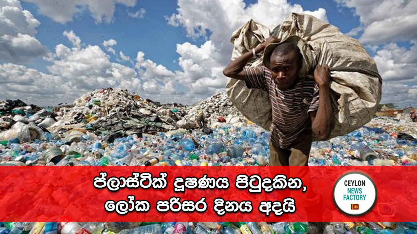 ලෝක පරිසර දිනය