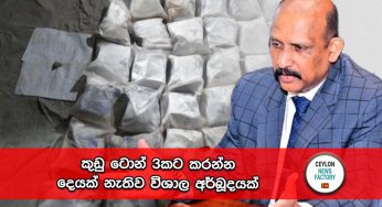 කුඩු ටොන් 3කට කරන්න දෙයක් නැතිව විශාල අර්බූදයක් !
