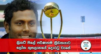 ක්‍රිකට් පිලේ පරිණතම ක්‍රීඩකයාට ලෝක කුසලානයේ දොරටු වැසේ !