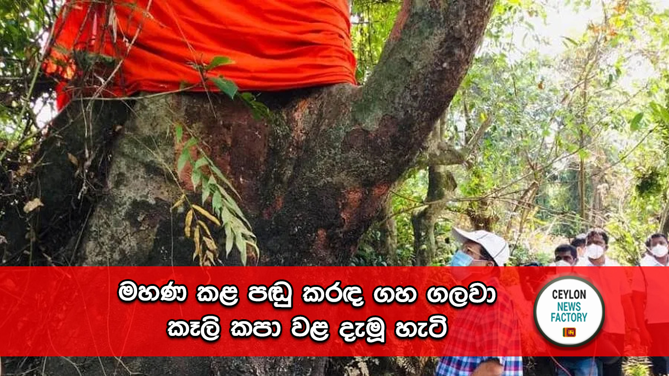 පඬු කරඳ