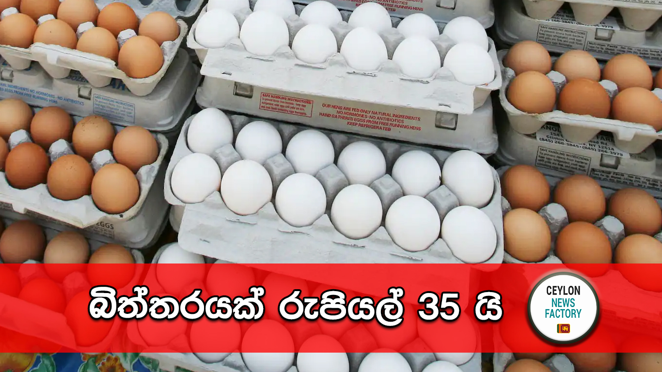 බිත්තරයක මිල