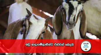 අඩු ආදායම්ලාභීන්ට එළුවන් බෙදයි !