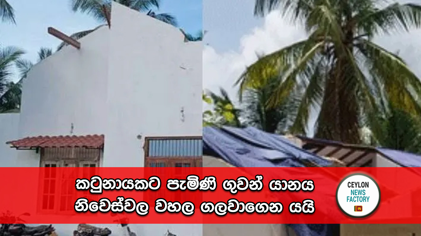 කටුනායකට පැමිණි ගුවන් යානය