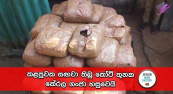කළපුවක සඟවා තිබු කෝටි තුනක කේරළ ගංජා හසුවෙයි !
