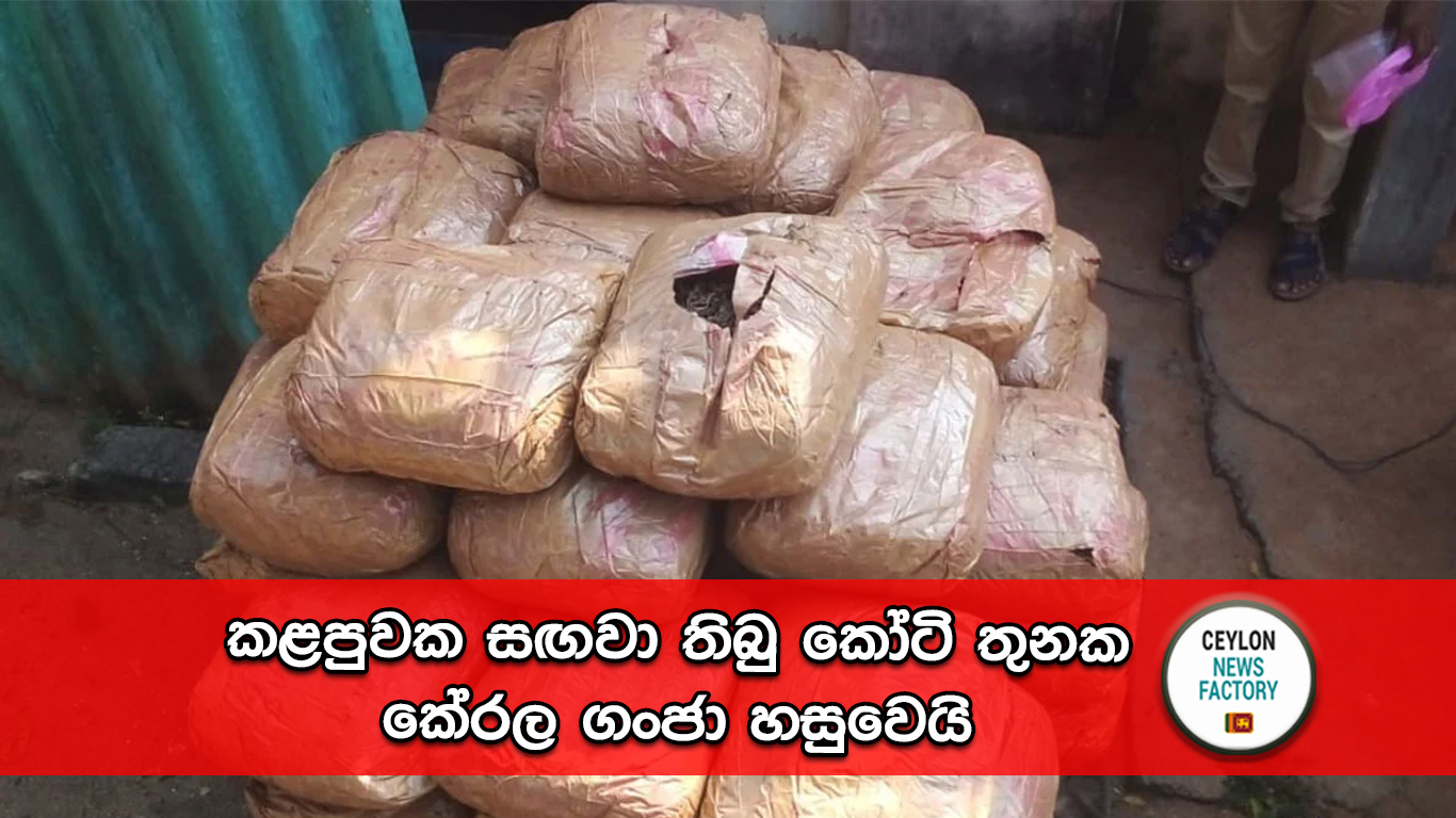 කේරළ ගංජා