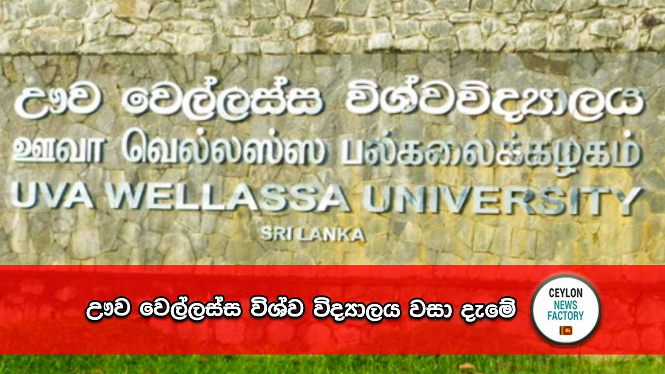 ඌව වෙල්ලස්ස විශ්ව විද්‍යාලය