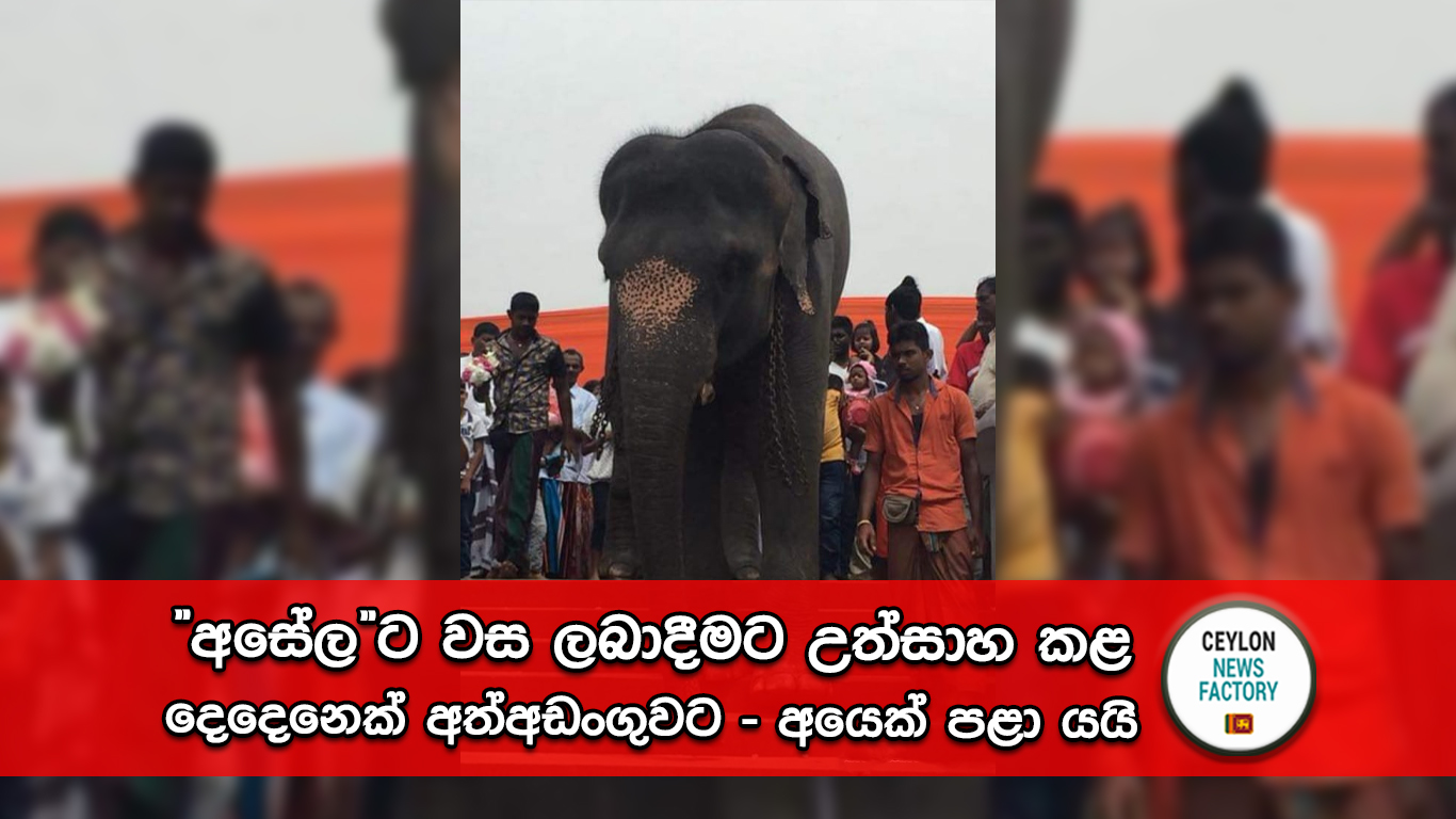 අසේල