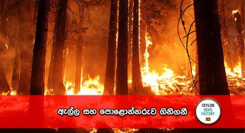 ඇල්ල සහ පොළොන්නරුව ගිනිගනී !
