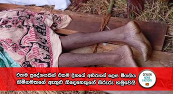 එකම ප්‍රදේශයකින් එකම දිනයේ අභිරහස් ලෙස මියගිය හිමිනමකගේ ඇතුළු තිදෙනෙකුගේ සිරුරු හමුවෙයි !