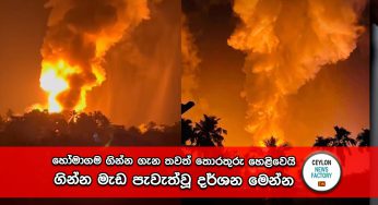 හෝමාගම ගින්න ගැන තවත් තොරතුරු හෙළිවෙයි – ගින්න මැඩ පැවැත්වූ දර්ශන මෙන්න (VIDEO)