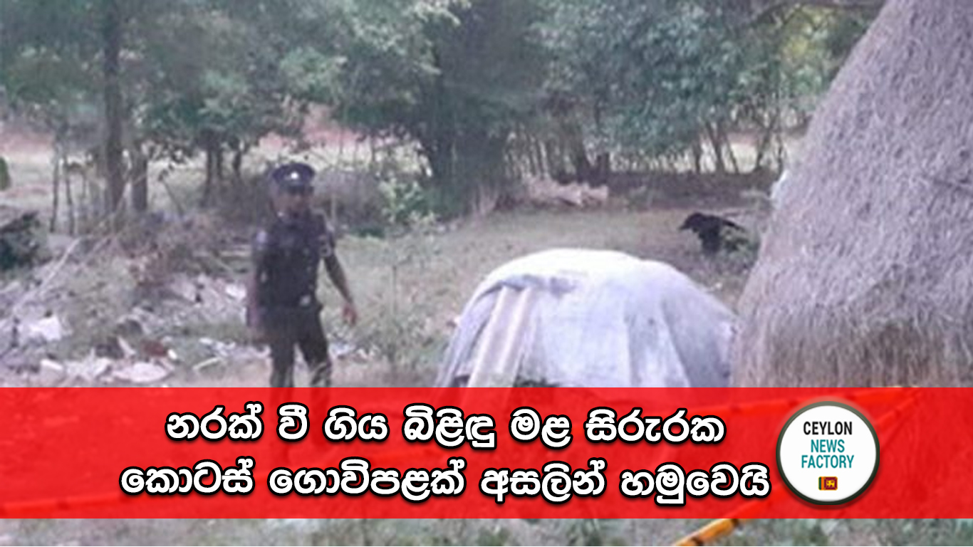 බිළිඳු මළ සිරුර