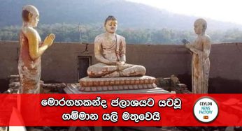 මොරගහකන්ද ජලාශයට යටවූ ගම්මාන යලි මතුවෙයි (PHOTOS)