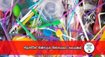 ප්ලාස්ටික් නිෂ්පාදන කිහිපයකට තනමක් !