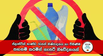 ප්ලාස්ටික් භාණ්ඩ රැසක් නිෂ්පාදනය හා විකිණීම තහනම් කරමින් ගැසට් නිවේදනයක් !