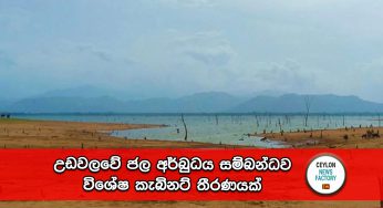 උඩවලවේ ජල අර්බුධය සම්බන්ධව විශේෂ කැබිනට් තීරණයක් !