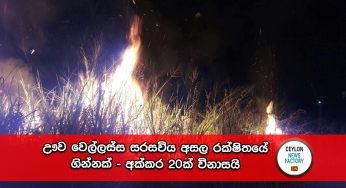 ඌව වෙල්ලස්ස සරසවිය අසල රක්ෂිතයේ ගින්නක් – අක්කර 20ක් විනාසයි, සරසවිය දෙසට ගින්න පැතිරෙයි !