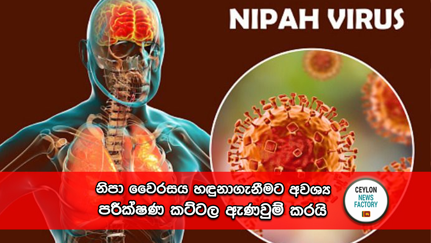 Nipah Virus