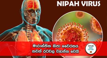 මාරාන්තික නිපා වෛරසය තවත් රටවල ව්‍යාප්ත වෙයි !