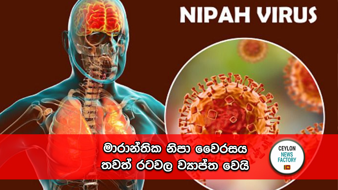 Nipah Virus