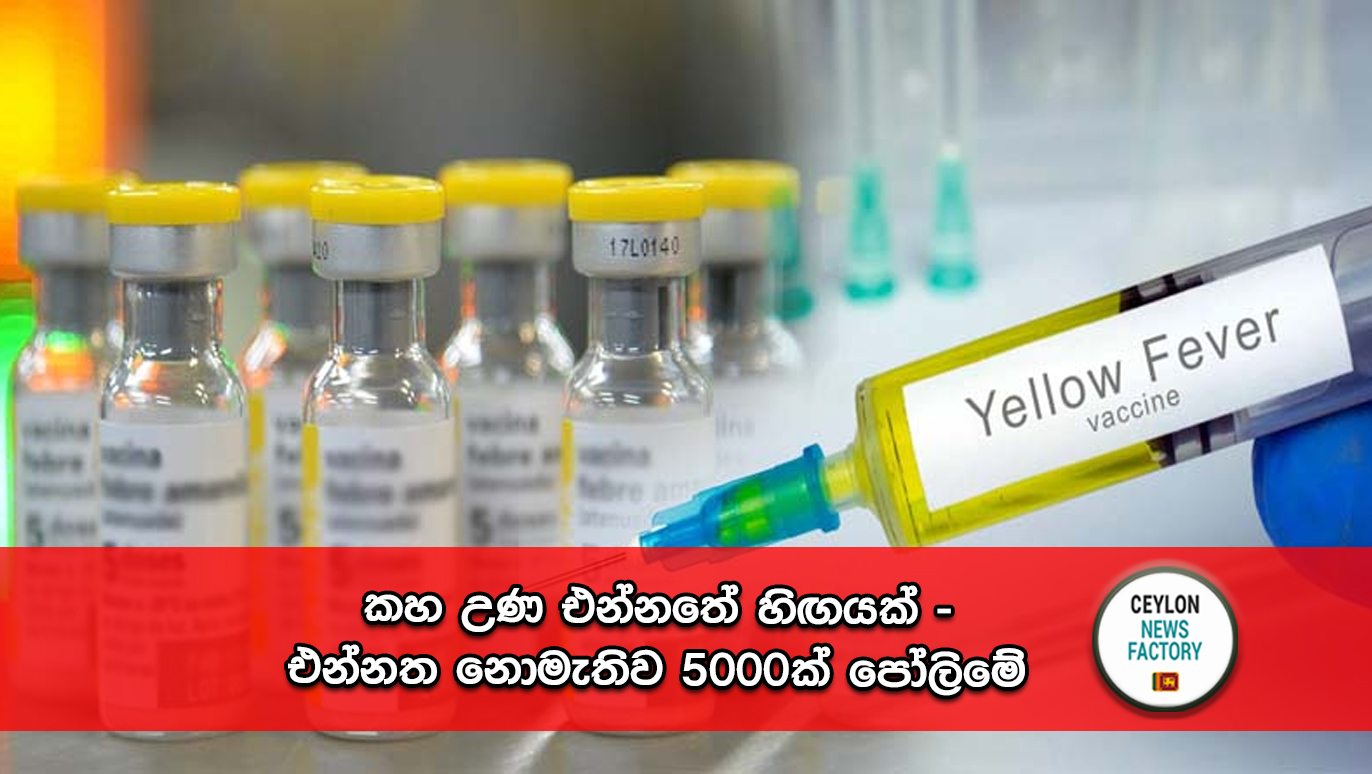 Yellow-Fever-Vaccine