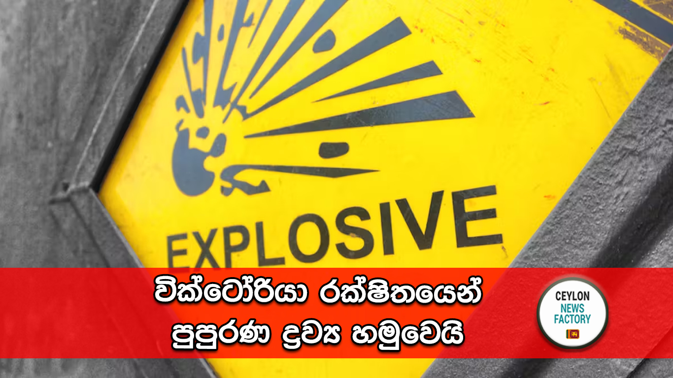 පුපුරණ ද්‍රව්‍ය