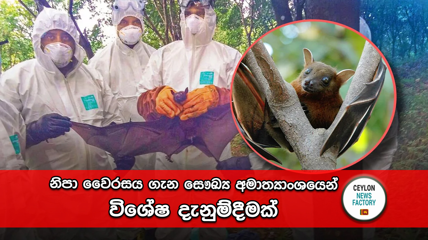 නිපා වෛරසය