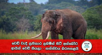 වෙඩි වැදී ප්‍රතිකාර ලබමින් සිටි අග්බෝට ආයිත් වෙඩි තියලා – තත්ත්වය බරපතළයි !
