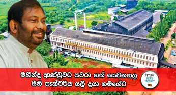 මහින්ද ආණ්ඩුවට පවරා ගත් සෙවනගල සීනී ෆැක්ටරිය යලි දයා ගමගේට !